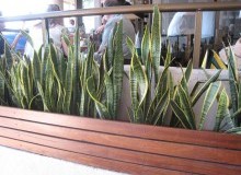 Kwikfynd Indoor Planting
belton
