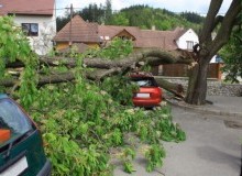 Kwikfynd Tree Cutting Services
belton
